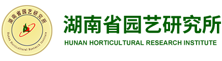 服务机构 湖南省园艺研究所