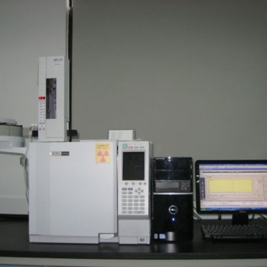大型仪器  气相色谱仪