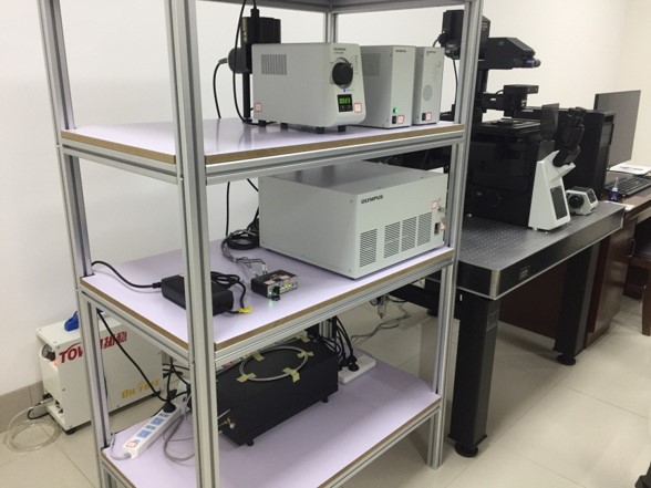 大型仪器  激光扫描共聚焦荧光显微镜