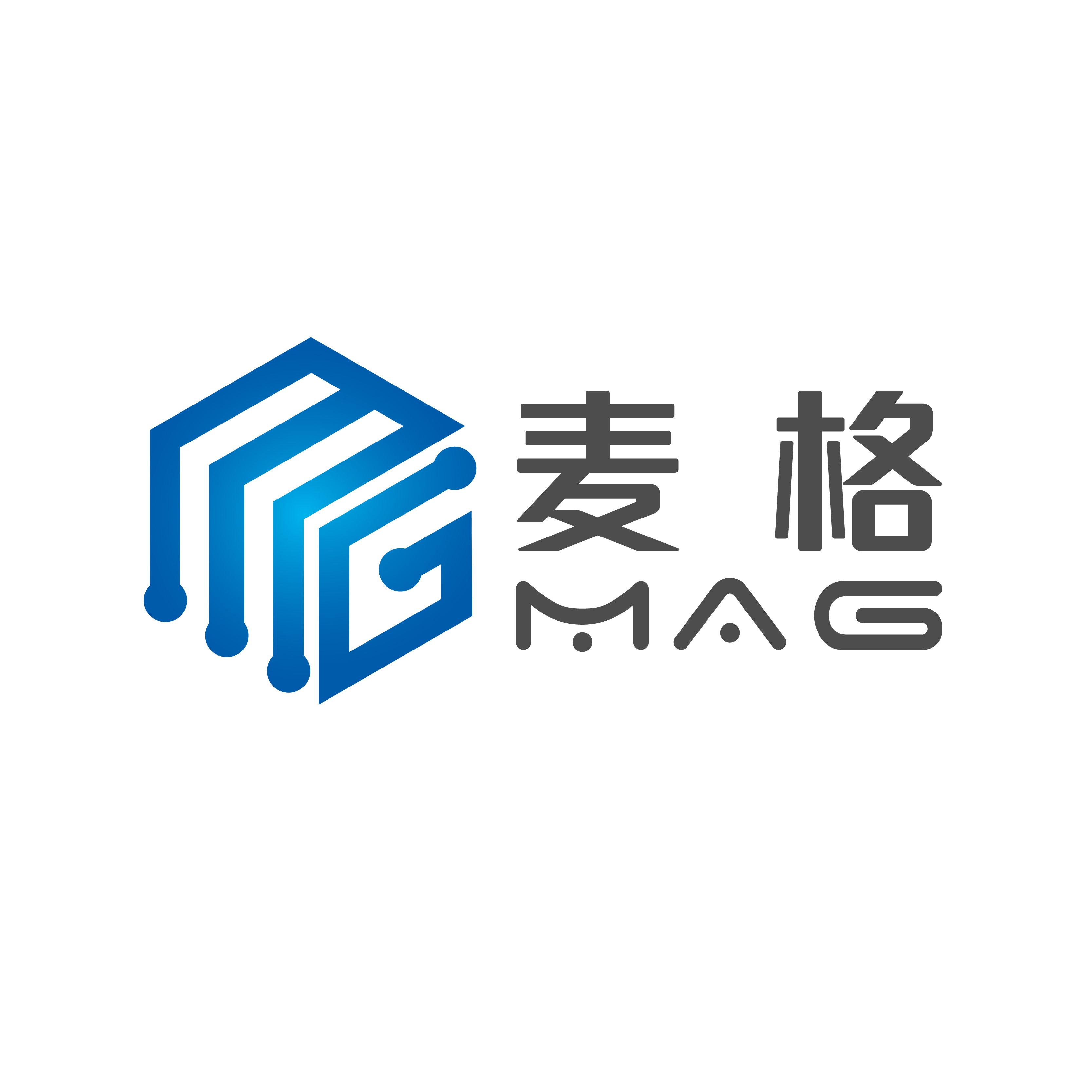 服务机构 湖南麦格新材料技术有限公司