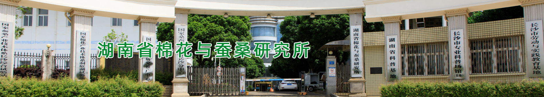 服务机构 湖南省棉花与蚕桑研究所